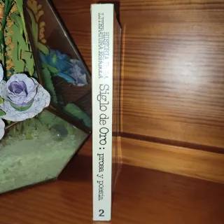 Historia de la literatura española 2. Siglo de Oro
