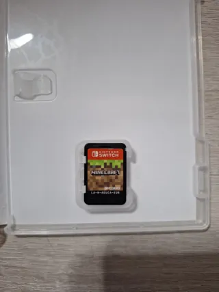 Minecraft Nintendo Switch