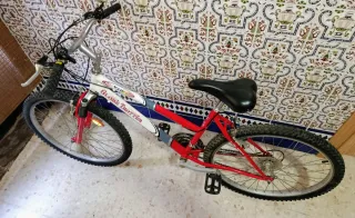 Bicicleta Globe Trotter 26 pulgadas