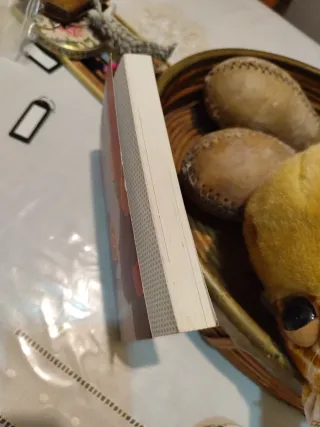 Hay un chico en el baño de las chicas (El Barco...