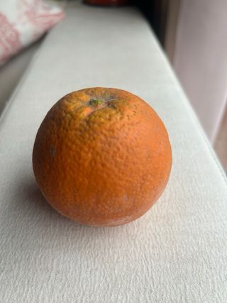 11 Frutas de Goma Vintage Años 60