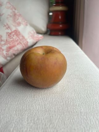 11 Frutas de Goma Vintage Años 60