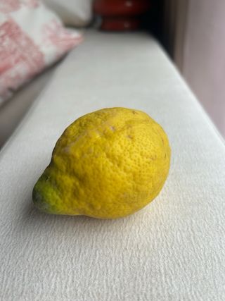 11 Frutas de Goma Vintage Años 60