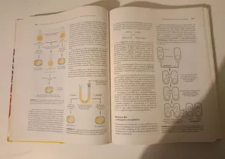 Conceptos de genética. 5ª edición.
