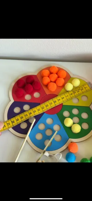 Rainbow Flower Color Sorting