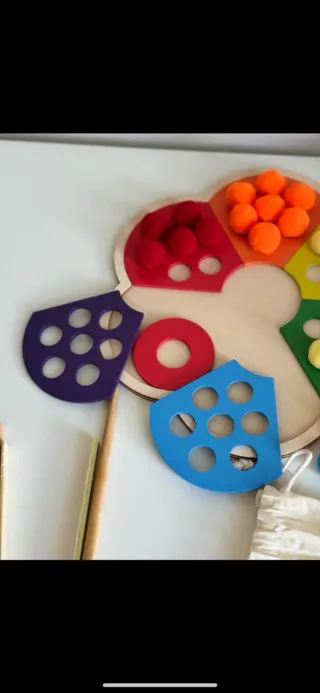 Rainbow Flower Color Sorting