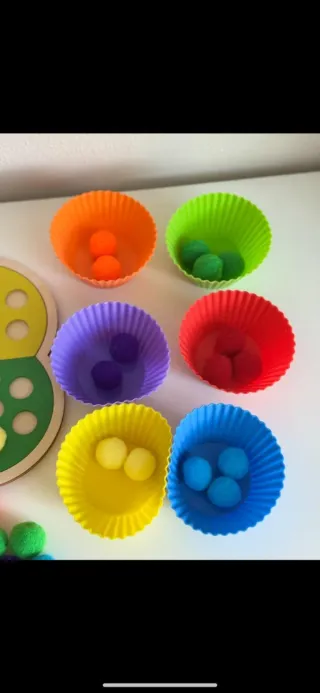 Rainbow Flower Color Sorting