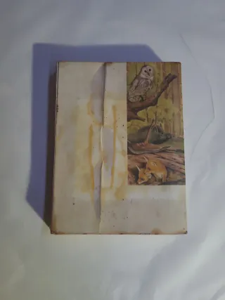 Ciencias Naturales 1 Bachillerato Unificado Pol...