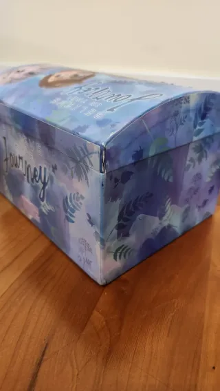 Caja Joyero Frozen II con contraseñs