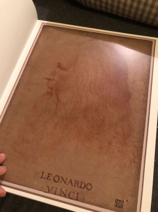 Leonardo da Vinci y el secreto del Códice Atlán...