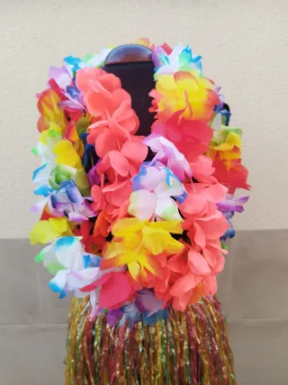Disfraz Hawaiano. Precio por todo.