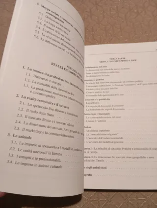 I segreti del rock dietro le quinte dell'indust...