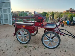 Carro de caballos Maratón