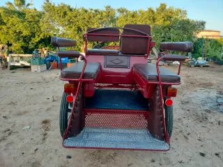 Carro de caballos Maratón