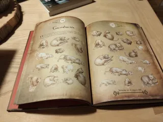 El libro de los enigmas de Leonardo da Vinci: 1...