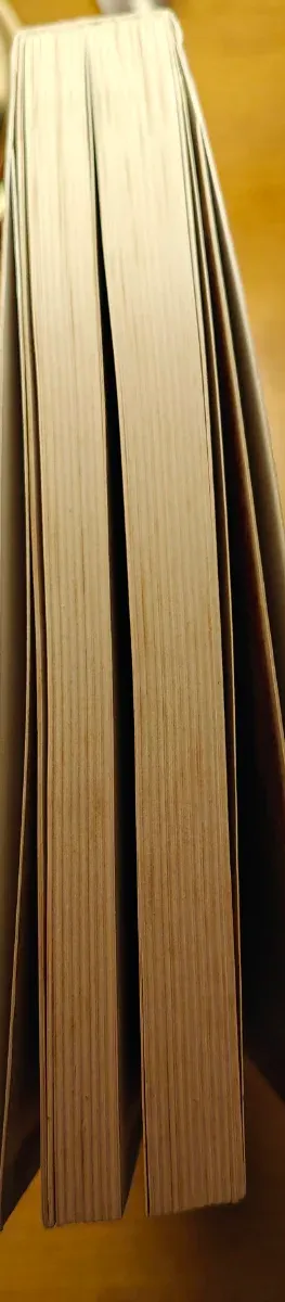 El Siglo XX: Persistencias y Rupturas (Introduc...