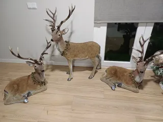 3 Renos Navideños Realistas XXL