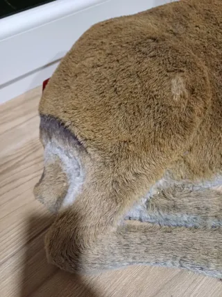 3 Renos Navideños Realistas XXL