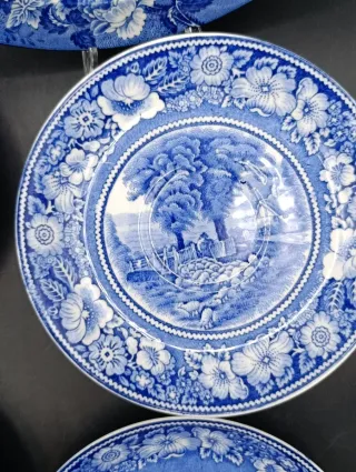 Set combinado platos loza inglesa