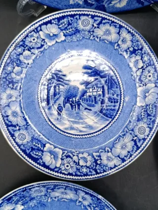 Set combinado platos loza inglesa