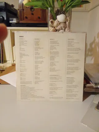 Molina Molina La Gran Esperanza LP Vinilo .