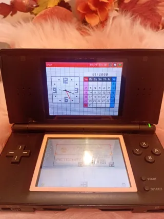 Nintendo DS Negra con Cargador