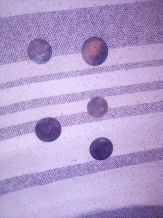 Lote de 5 monedas antiguas