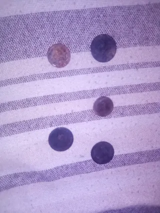 Lote de 5 monedas antiguas