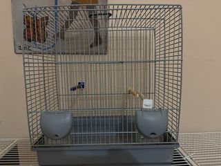 Jaula para pájaros doble