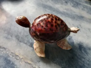 Tortuga decorativa de caracolas