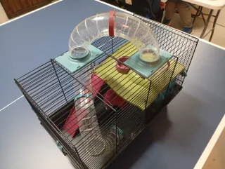 Jaula Hamster Grande + Accesorios