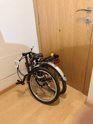 Bicicleta plegable F-Park 20