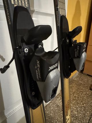 Esquís Dynastar Big Max RL