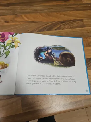 Libros Campanilla el Secreto de las Hadas