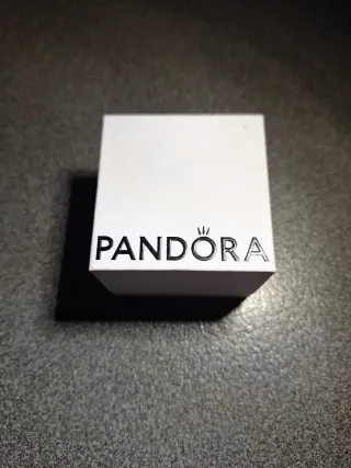 Anillo Pandora Plata Ley Banda Orgánica. Talla 54