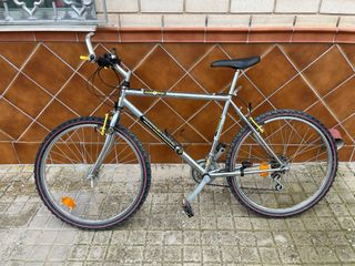 Bicicleta de montaña plateada