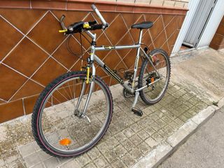 Bicicleta de montaña plateada