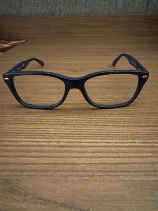 Monturas Gafas Ray-Ban Marrón Carey y Azul.