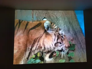 Projetor Casio JAPAN