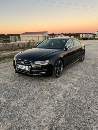 Audi S5 2013