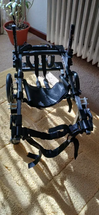 Silla de ruedas para perro  mediano.