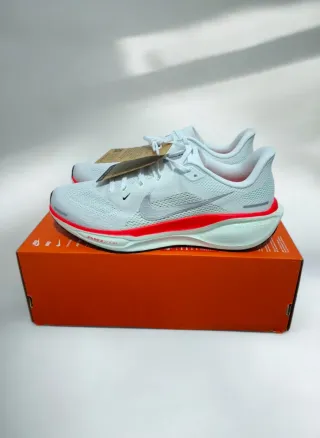 Nike Pegasus 41 Plata Talla 44.5