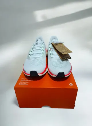 Nike Pegasus 41 Plata Talla 44.5