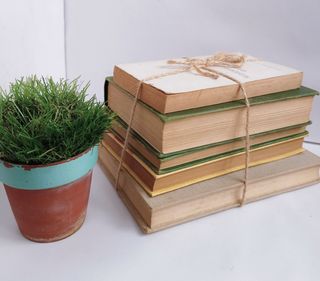 6 MACETAS BARRO CON CÉSPED