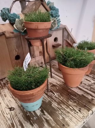 6 MACETAS BARRO CON CÉSPED