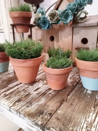 6 MACETAS BARRO CON CÉSPED