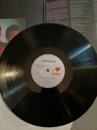 Vinilo LP Imagination In The Heat Of The Night
