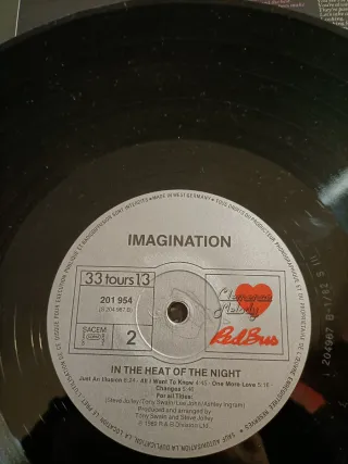 Vinilo LP Imagination In The Heat Of The Night