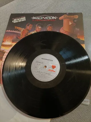 Vinilo LP Imagination In The Heat Of The Night