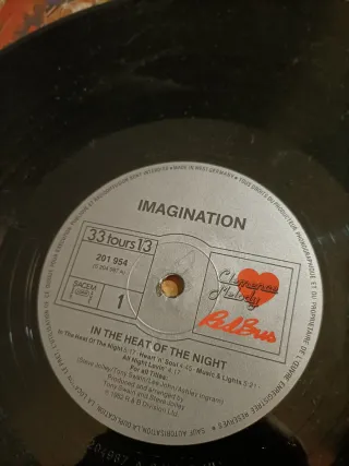 Vinilo LP Imagination In The Heat Of The Night